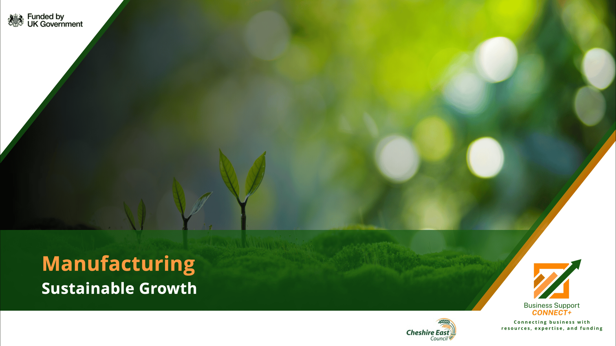 Screenshot 2025-09-05 at 14.42.24